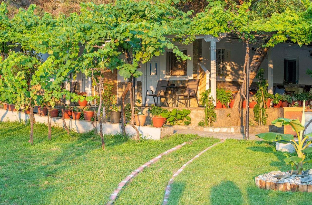 Studios Vagelis Kalamítsion Bagian luar foto
