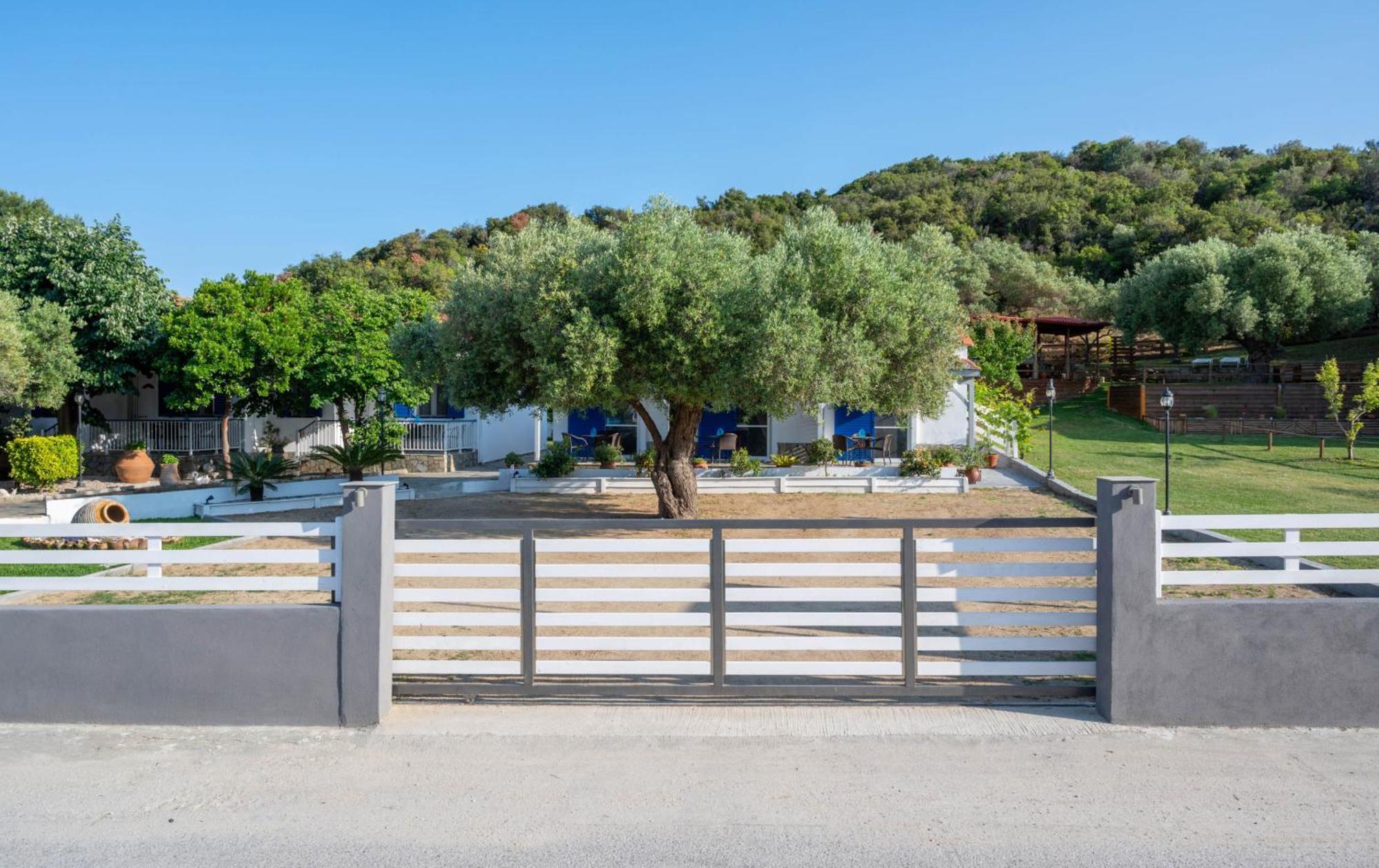 Studios Vagelis Kalamítsion Bagian luar foto